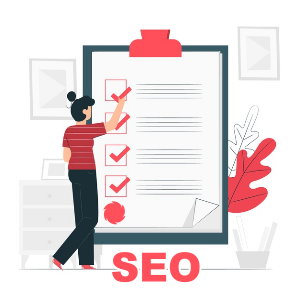 SEO Analyse Check