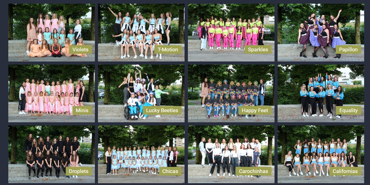 Alle Gruppen Variations Dancers